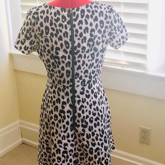 Leopard Cheetah Fit/Flare Dress - Picture 2 of 5